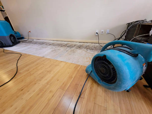 Professional Basement Flood Cleanup technician working in Kingman, AZ